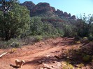 photo thumbnail #3