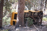 photo thumbnail #7
