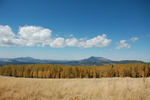 photo thumbnail #12