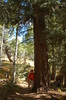 photo thumbnail #15