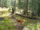 photo thumbnail #1