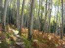 photo thumbnail #2