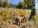 photo thumbnail #5