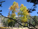 photo thumbnail #7