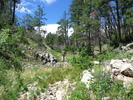 photo thumbnail #3