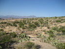 photo thumbnail #4