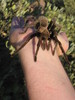photo thumbnail #7