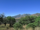 photo thumbnail #1