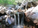 photo thumbnail #3