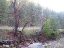 recent photo