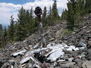 photo thumbnail #4