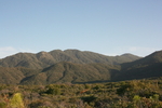 photo thumbnail #1
