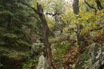 photo thumbnail #12
