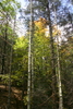 photo thumbnail #14