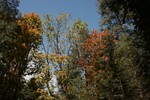 photo thumbnail #15