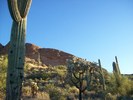 photo thumbnail #1