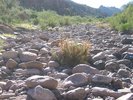 photo thumbnail #5