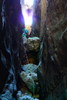 photo thumbnail #15