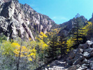 photo thumbnail #4