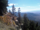 photo thumbnail #10