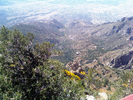 photo thumbnail #12