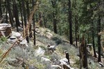 photo thumbnail #8