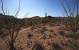 photo thumbnail #2