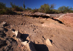 photo thumbnail #3