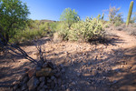 photo thumbnail #4
