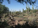 photo thumbnail #3