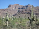 photo thumbnail #5