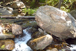 photo thumbnail #8