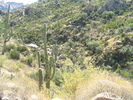 photo thumbnail #1