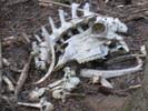 photo thumbnail #3