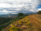 photo thumbnail #10