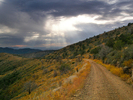 photo thumbnail #14