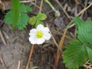 Featured Detail Photo