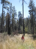 photo thumbnail #10