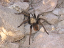 photo thumbnail #1