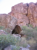 photo thumbnail #3