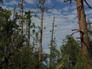 recent photo