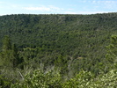 recent photo