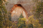 photo thumbnail #5