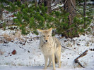photo thumbnail #2