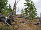 photo thumbnail #8