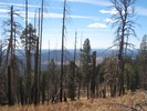 photo thumbnail #5
