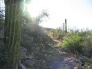 photo thumbnail #1