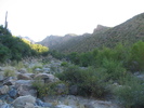 photo thumbnail #2