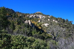 photo thumbnail #2