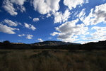 photo thumbnail #12